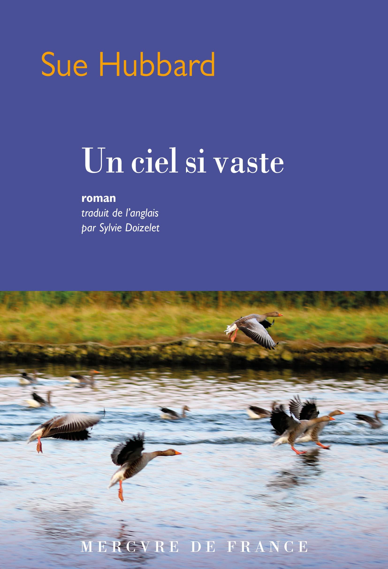 Sue Hubbard – Un ciel si vaste