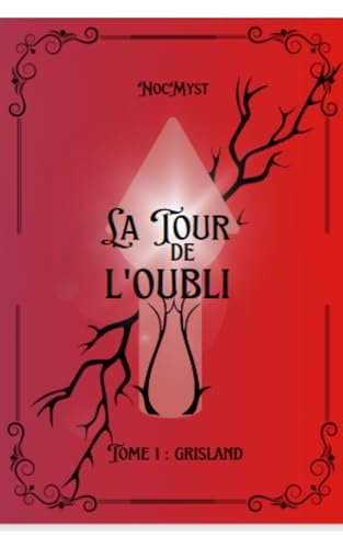 NocMyst - La tour de l'oubli: tome 1 : Grisland