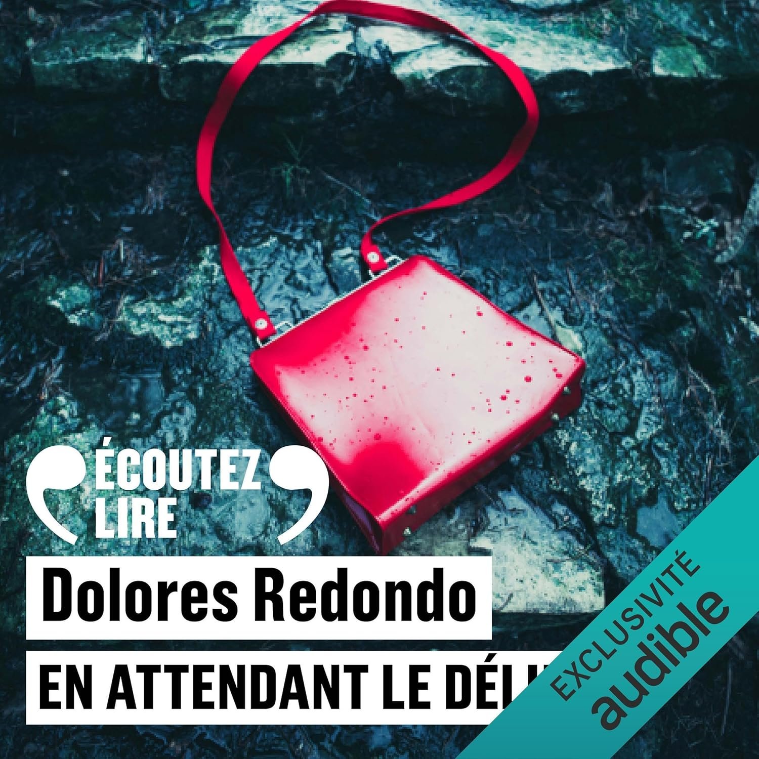 Dolores Redondo - En attendant le déluge