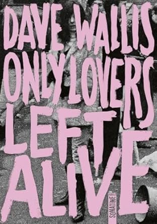 Dave Wallis - Only Lovers Left Alive