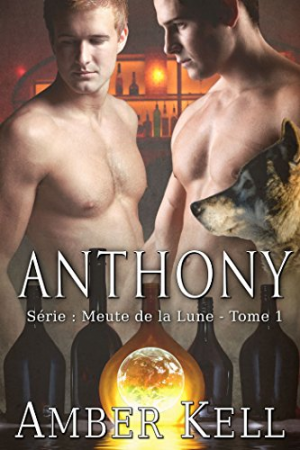 Amber Kell – La meute de la lune, tome 1 : Anthony