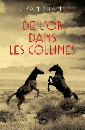 C Pam Zhang – De l&rsquo;or dans les collines