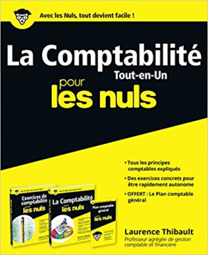 Comptabilité Pour les Nuls