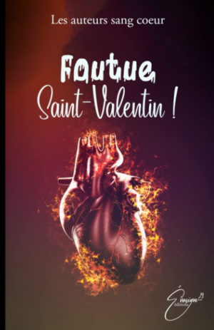 Les Auteurs sang cœur – Foutue Saint-Valentin !