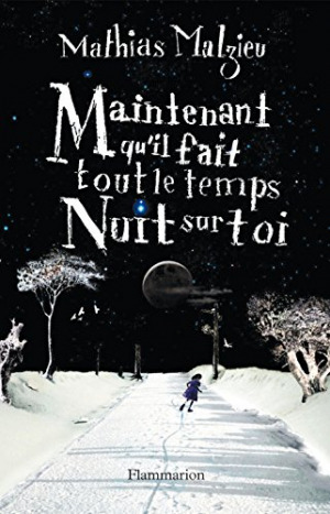 Mathias Malzieu – Maintenant qu&rsquo;il fait tout le temps nuit sur toi